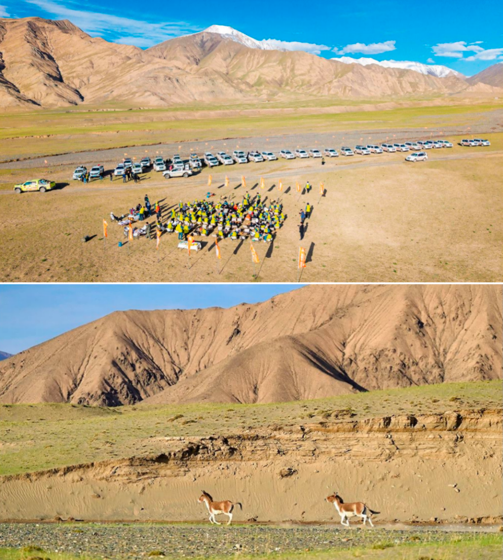 三峰照明举办的第四届设计师登山节圆满收官，共赴自然与设计之约