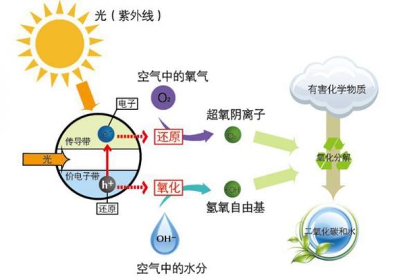 下载.jpg